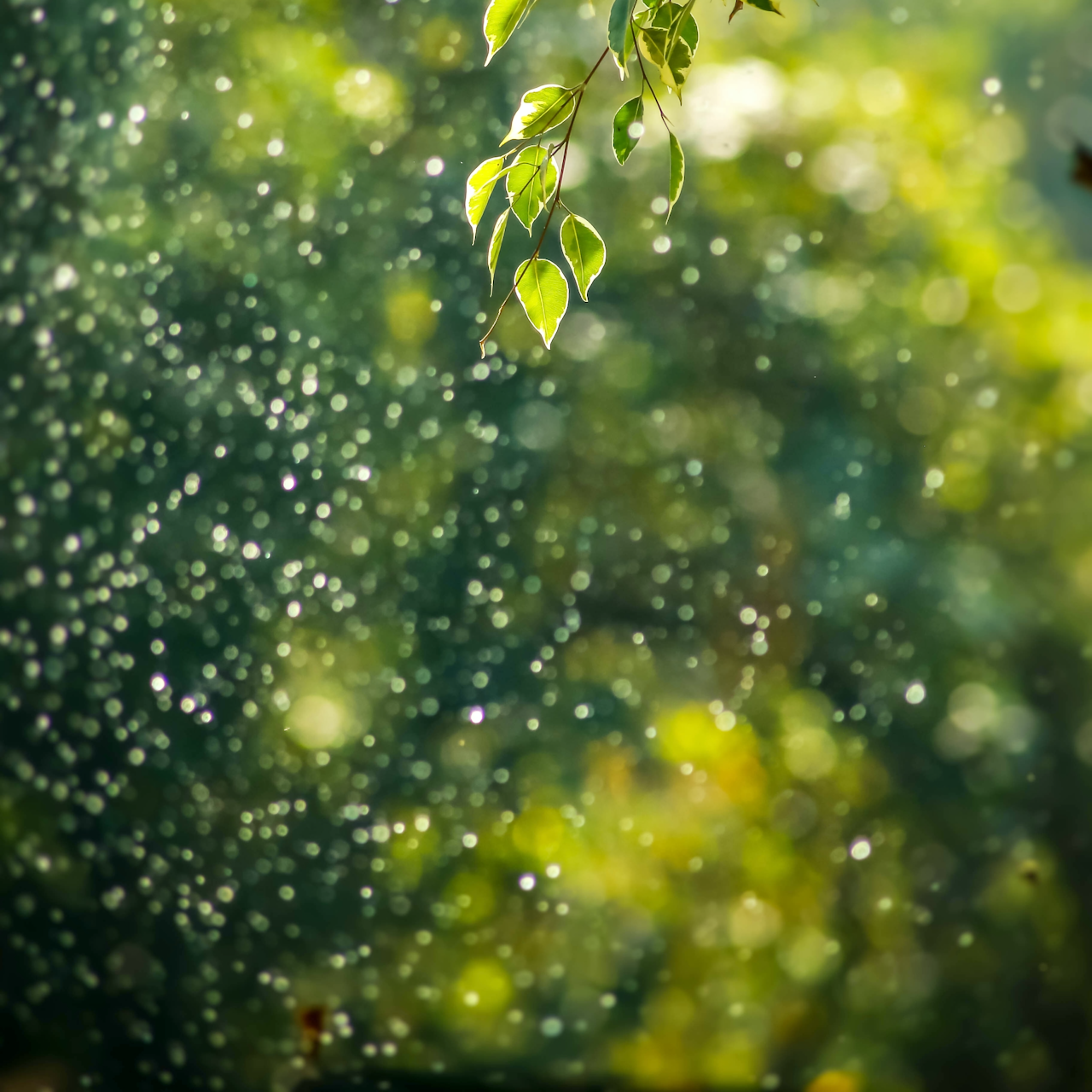 Crown Relief - Aromatic Magnesium Roller