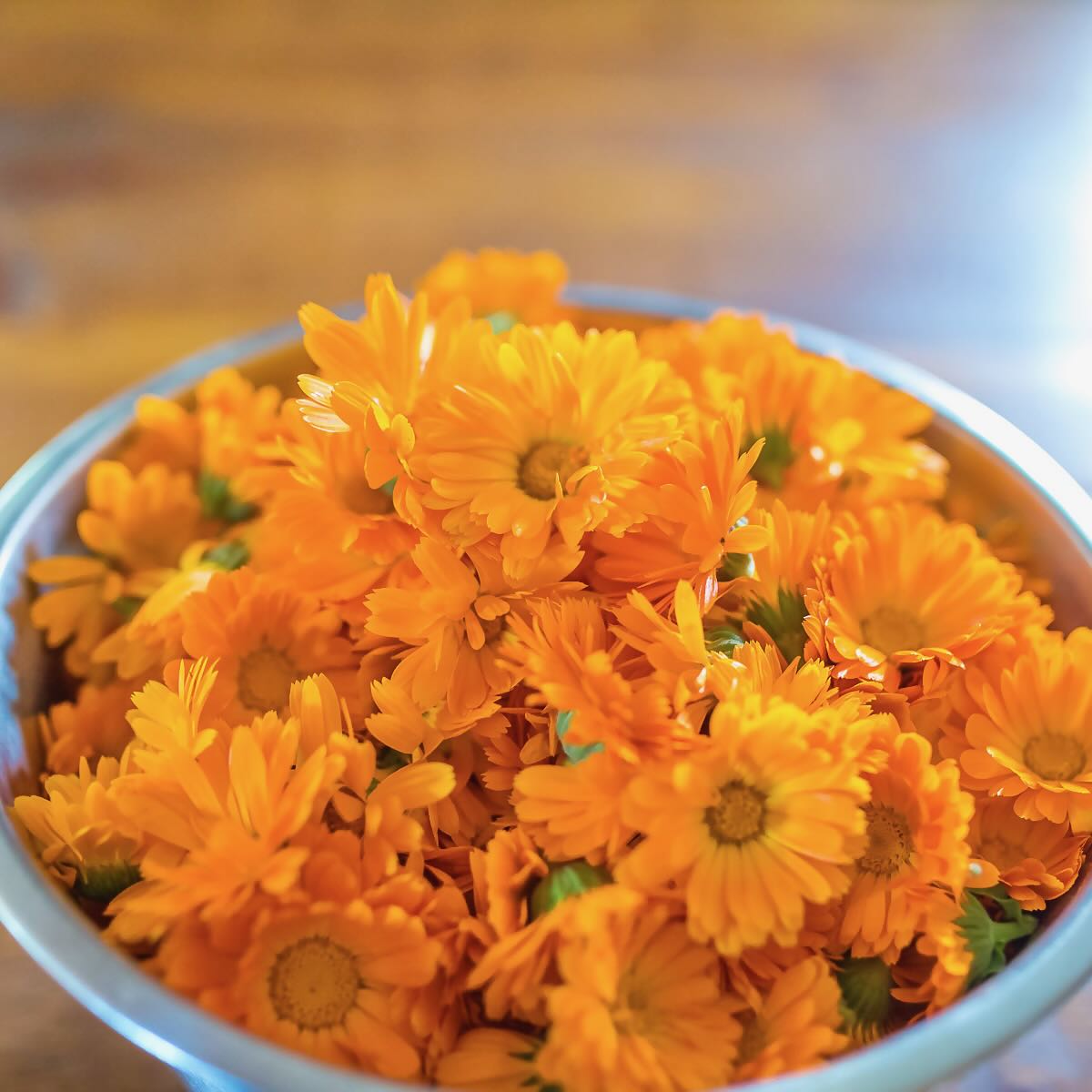 Anointment - Soothing Skin Ointment